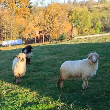 Pod Giewontem * Ciche (Nowy Targ)