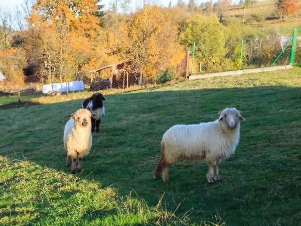 Pod Giewontem * Ciche (Nowy Targ)